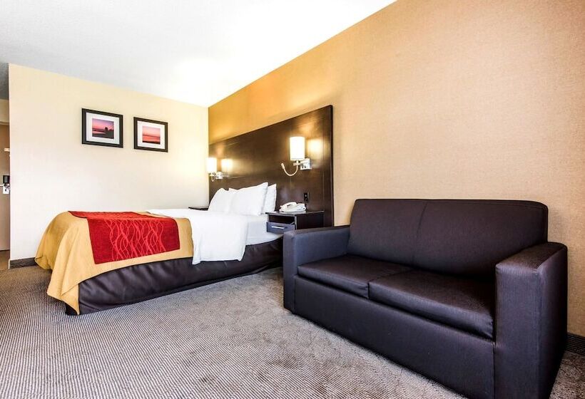 舒适型房间, Comfort Inn