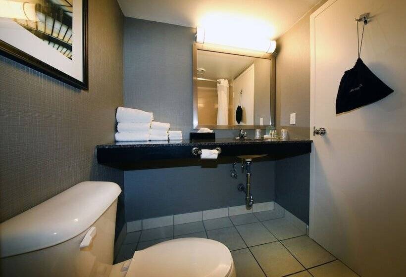스탠다드 룸 더블 침대 2개, Holiday Inn Hotel Peterborough Waterfront, An Ihg