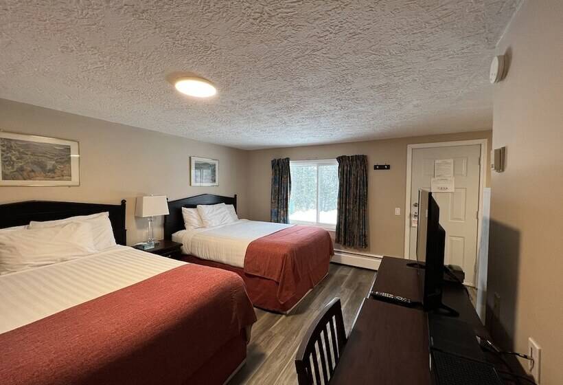 Номер Стандарт 2 Двуспальные Кровати, Villa Motel