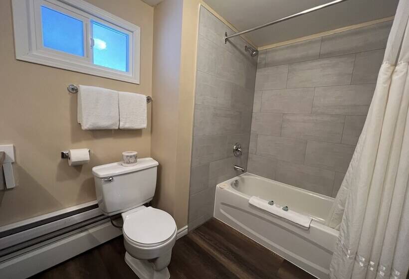 Номер Стандарт 2 Двуспальные Кровати, Villa Motel
