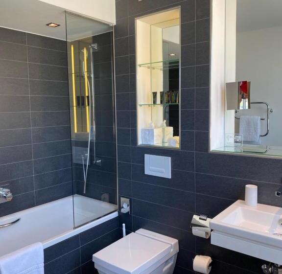 Номер Superior, Campus Hotel Hertenstein
