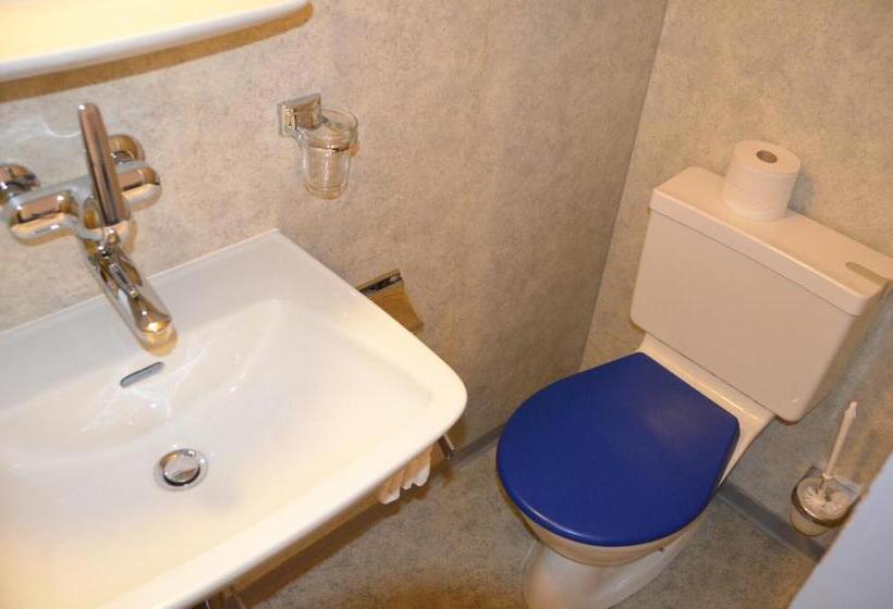 غرفة قياسية فردية, Hirschen Backpacker Hotel & Pub