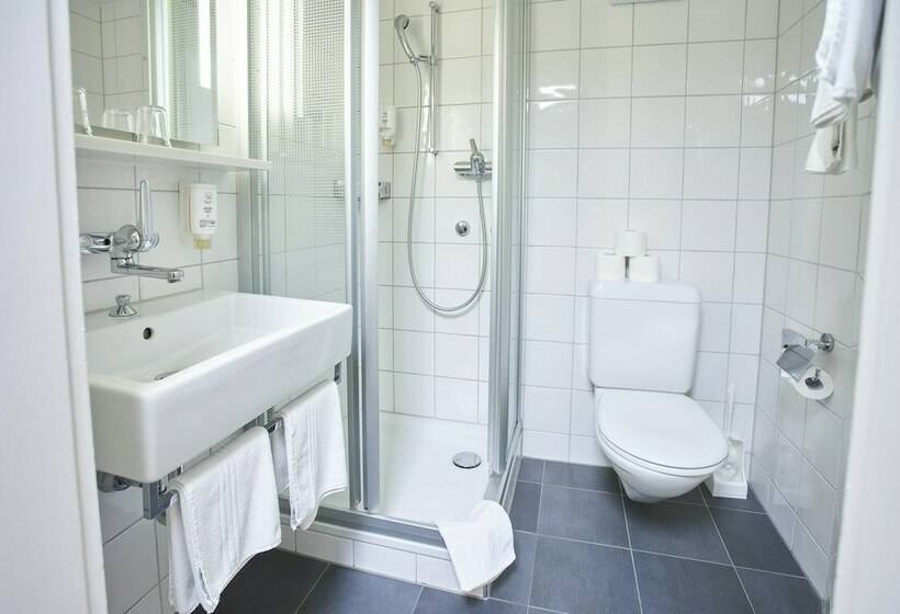 اتاق استاندارد یک نفره, Bristol Zurich