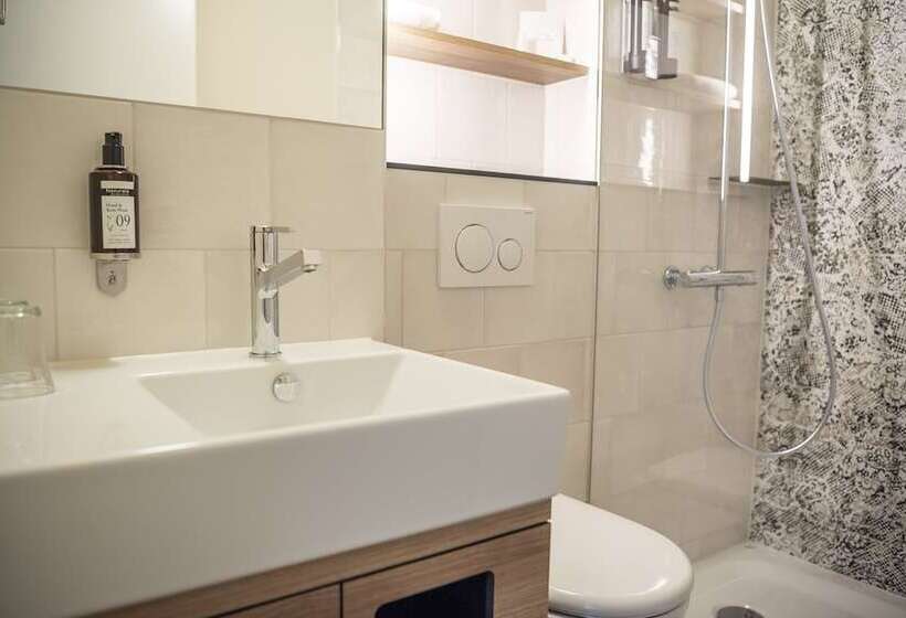 Номер Стандартный с Видом, Seehotel Kastanienbaum