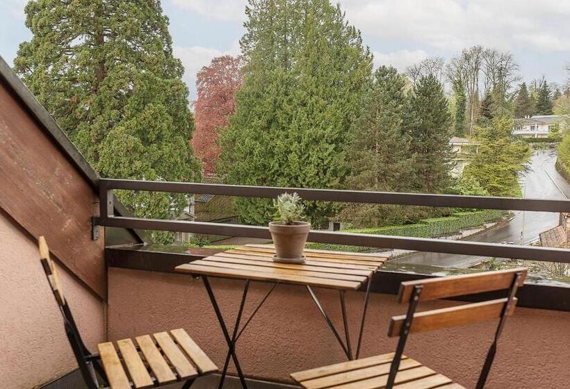 Номер Superior, Seehotel Kastanienbaum