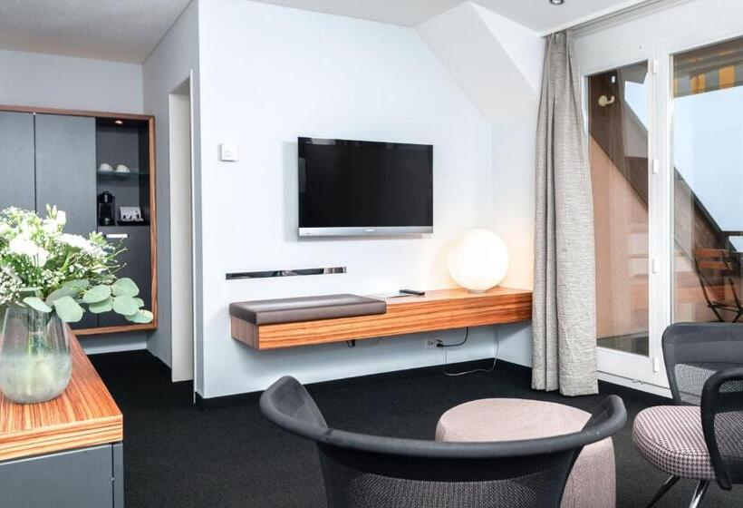 Superior room with lake view, Seehotel Kastanienbaum