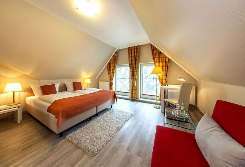 اتاق استاندارد, Hansa Hotel Ratzeburg