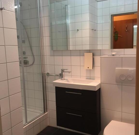 Quarto Estandar Individual, Vitalhotel Ascona