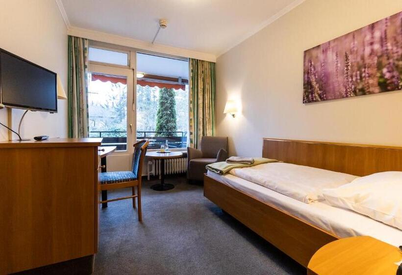 Номер Стандарт Индивидуальный, Vitalhotel Ascona