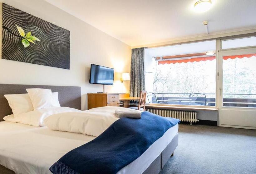 싱글 디럭스 룸, Vitalhotel Ascona