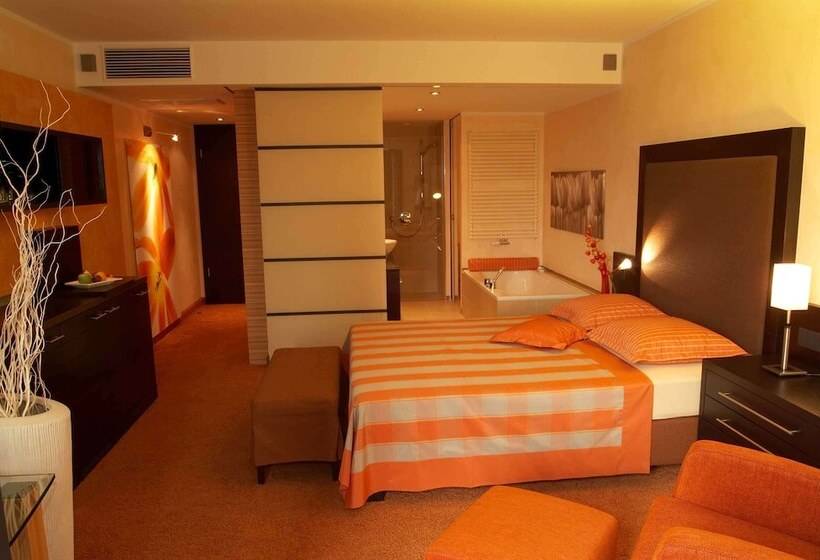 اتاق لوکس, Atrium Hotel Mainz