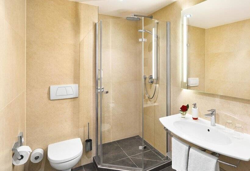 Comfort Single Room, Hirsch