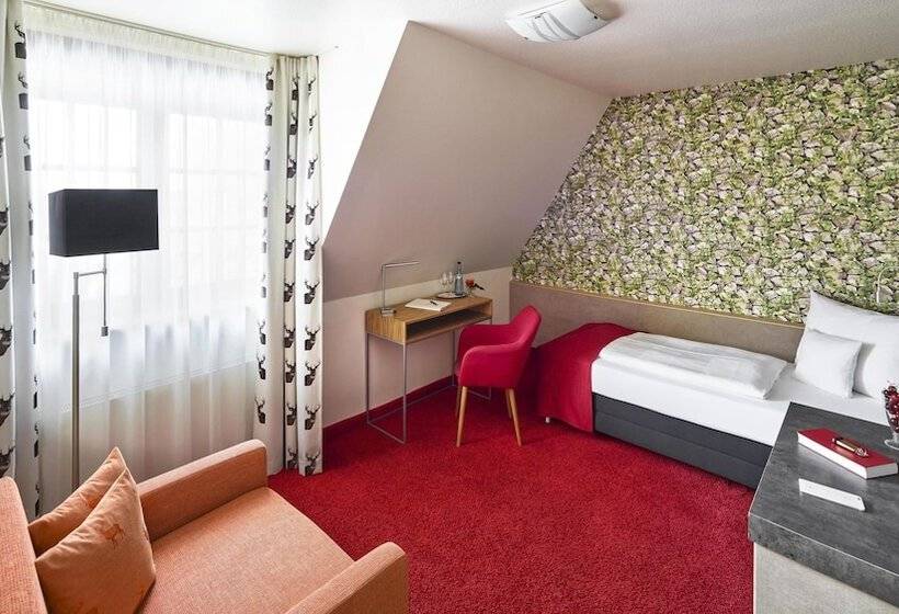 Comfort Single Room, Hirsch