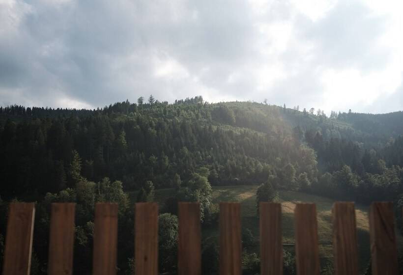 프리미엄 룸, Traube Tonbach