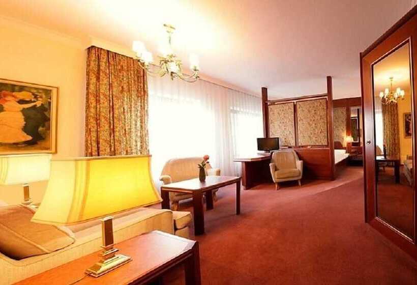 اتاق استاندارد, Trip Inn Klee Am Park Wiesbaden