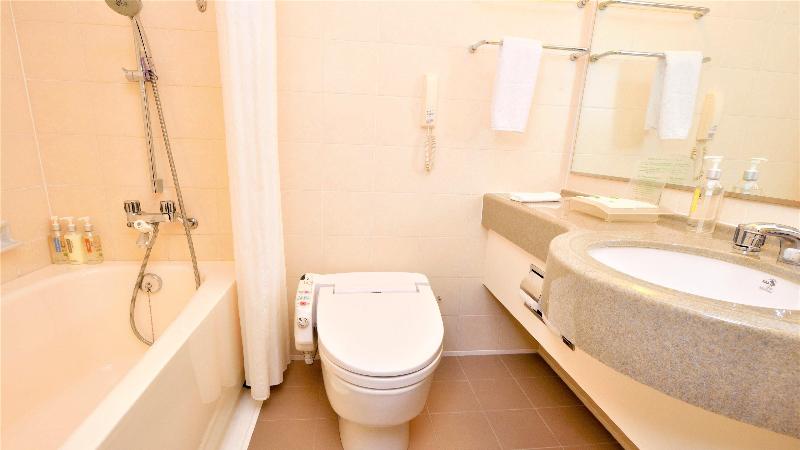 Номер Стандарт, Ibis Moulins