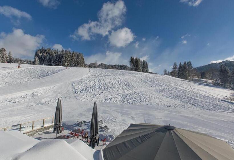 Семейный Номер Классика, Chalet Hotel Crychar