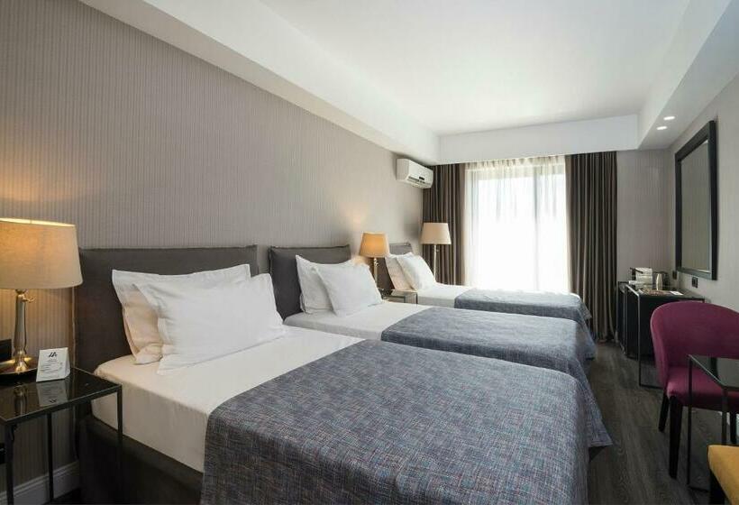 수피리어 트리플 룸, Astor Hotel Athens