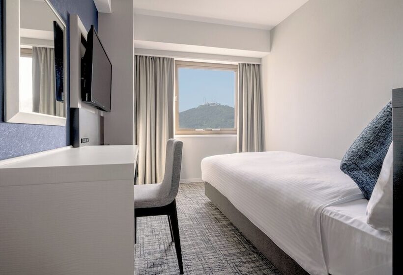 اتاق استاندارد یک نفره, Premier Hotel   Cabin President   Hakodate
