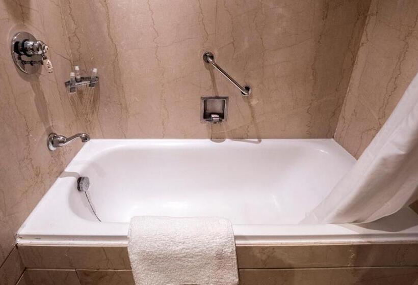 套房, The Claridges New Delhi