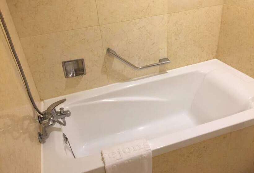 Номер Deluxe Вид на Горы, Sejong Hotel Seoul Myeongdong