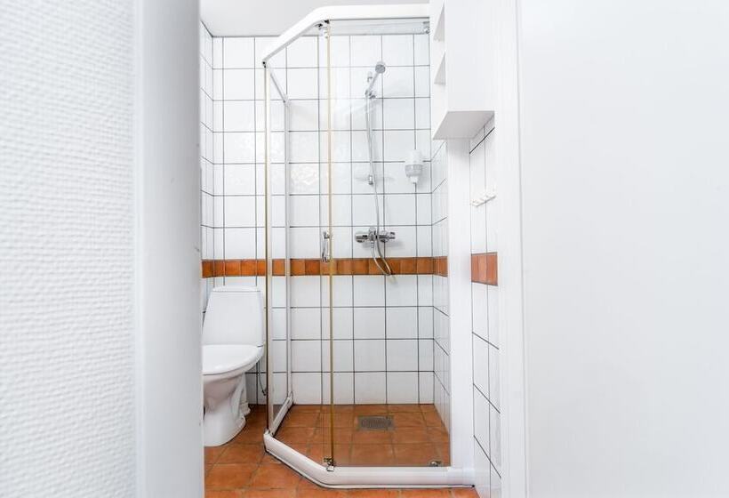 Номер Deluxe, Birkebeineren Hotel & Apartments