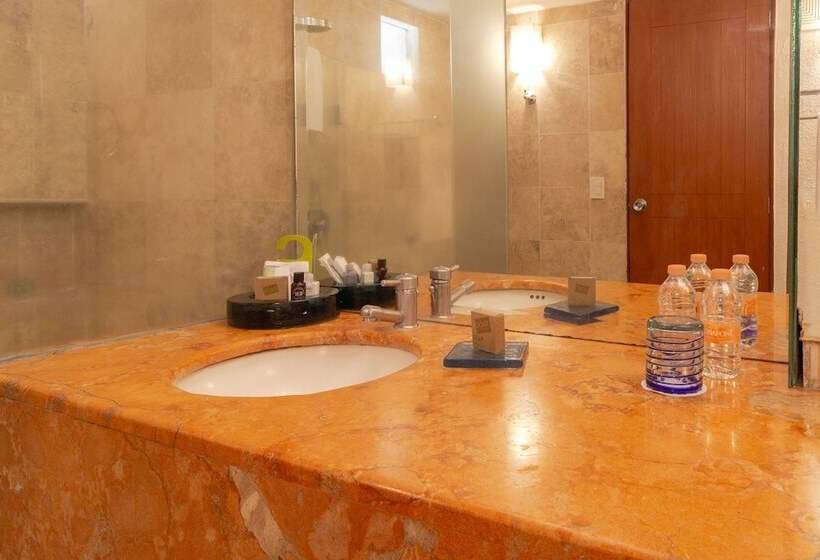 اتاق لوکس با تخت بزرگ, Camino Real Guadalajara