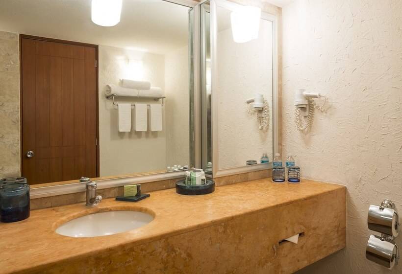 اتاق لوکس با تخت بزرگ, Camino Real Guadalajara