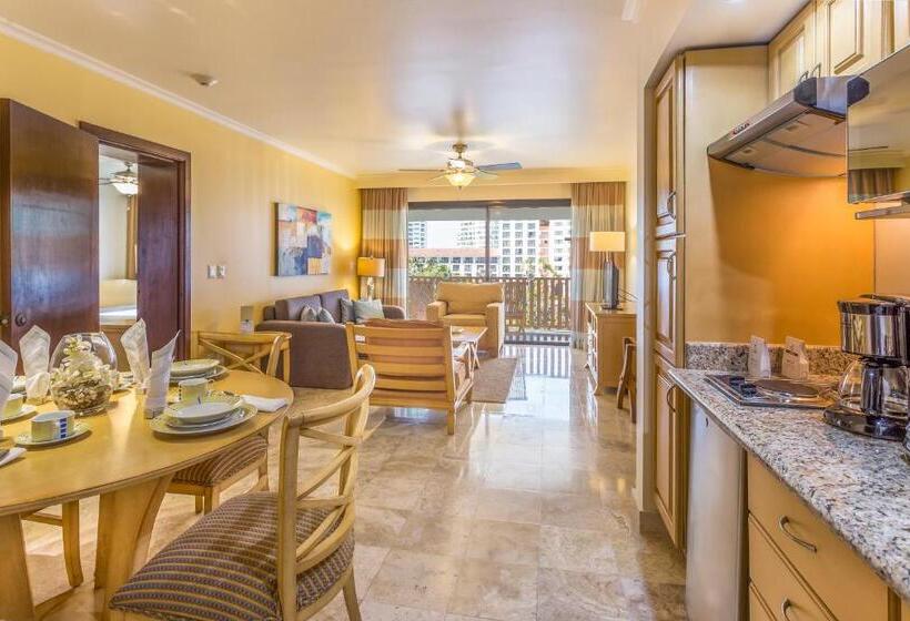 سوئیت مستر با چشم‌انداز باغ, Meliá Puerto Vallarta – All Inclusive