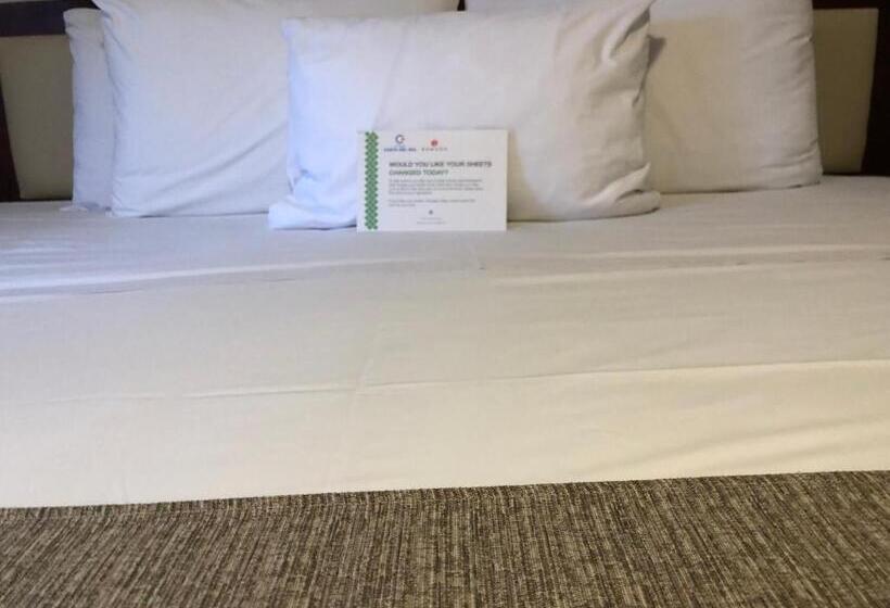 اتاق استاندارد, Costa Del Sol Wyndham Cusco