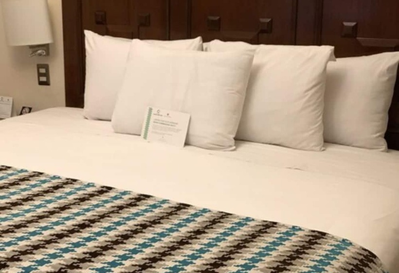 سوییت سوپریور, Costa Del Sol Wyndham Cusco