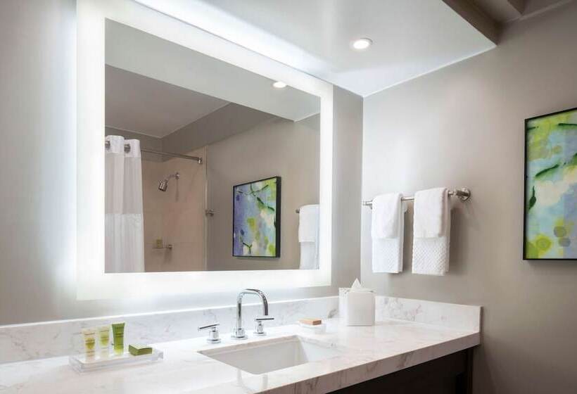 اتاق استاندارد با 2 تخت دوبل, Caribe Hilton