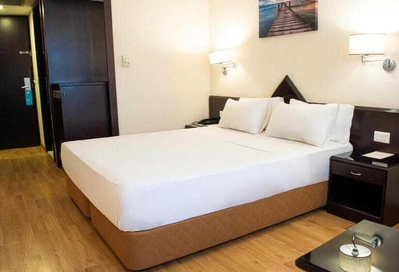 اتاق سوپریور با تخت بزرگ, Dedeman Istanbul