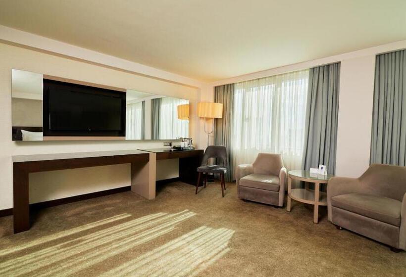اتاق لوکس, Dedeman Istanbul