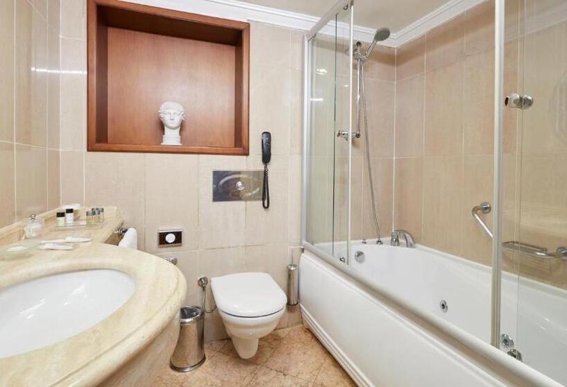 اتاق سوپریور یک تخته, Dedeman Istanbul