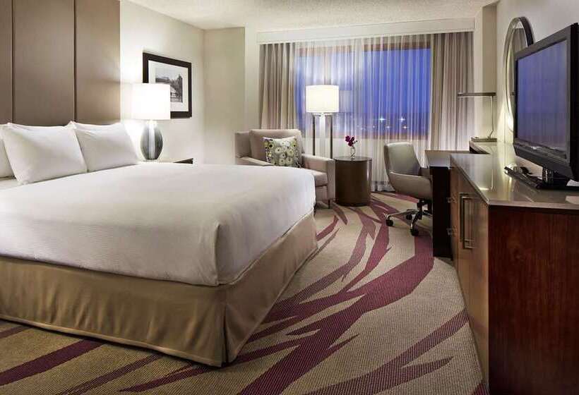 Habitació Deluxe, Hilton Arlington