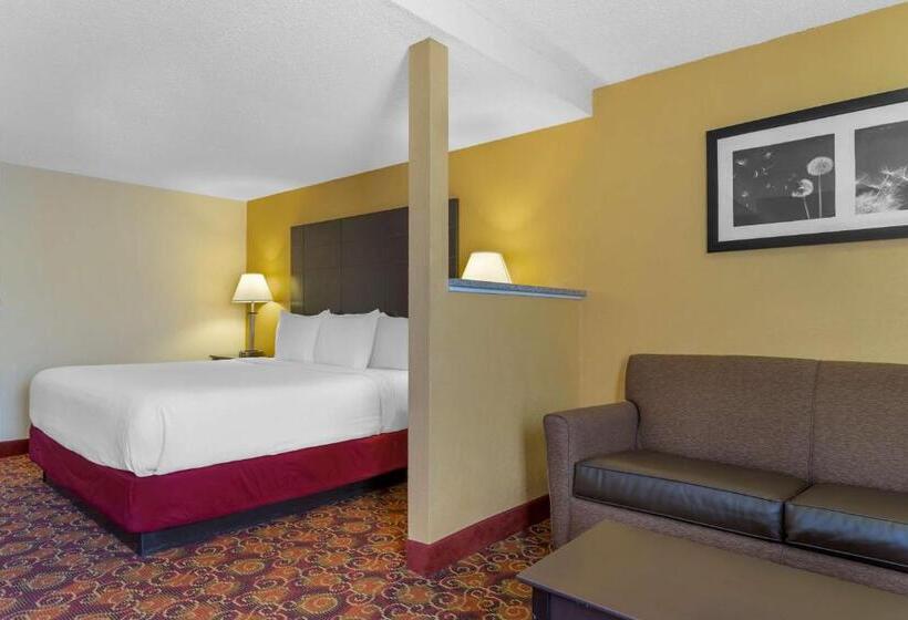 Номер Стандарт Кровать Кинг Адаптированный для Инвалидов, Best Western Benton Inn