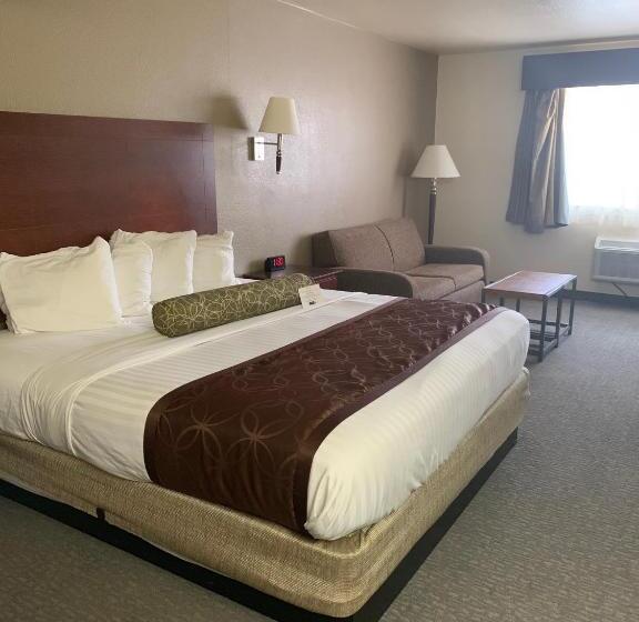 스탠다드 룸 킹사이즈 침대, Best Western Desert Oasis
