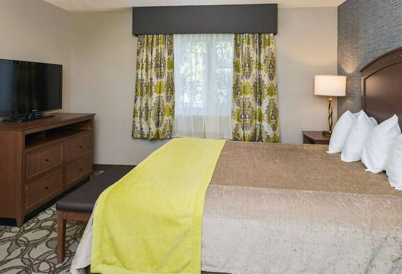 Family Suite, Best Western Plus Black Oak
