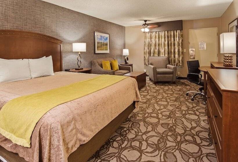 Номер Superior, Best Western Plus Black Oak