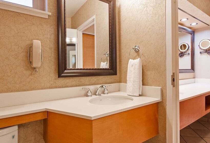 Номер Superior, Best Western Plus Black Oak