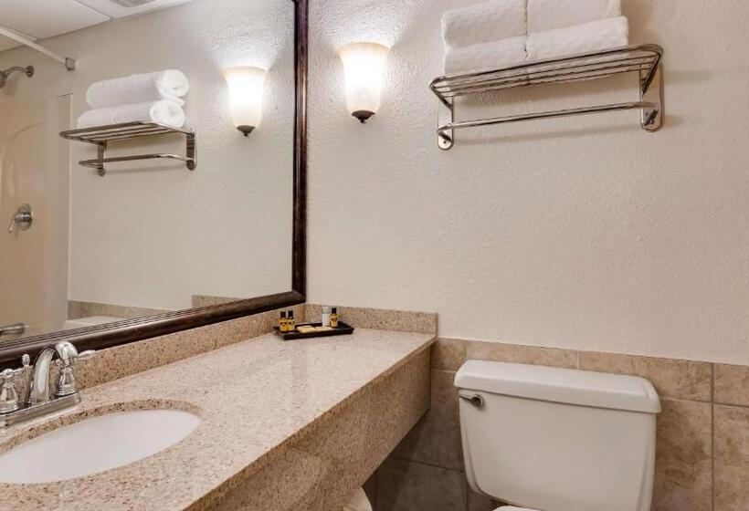 اتاق استاندارد با تخت بزرگ, Best Western Plus Longbranch Hotel & Convention Center