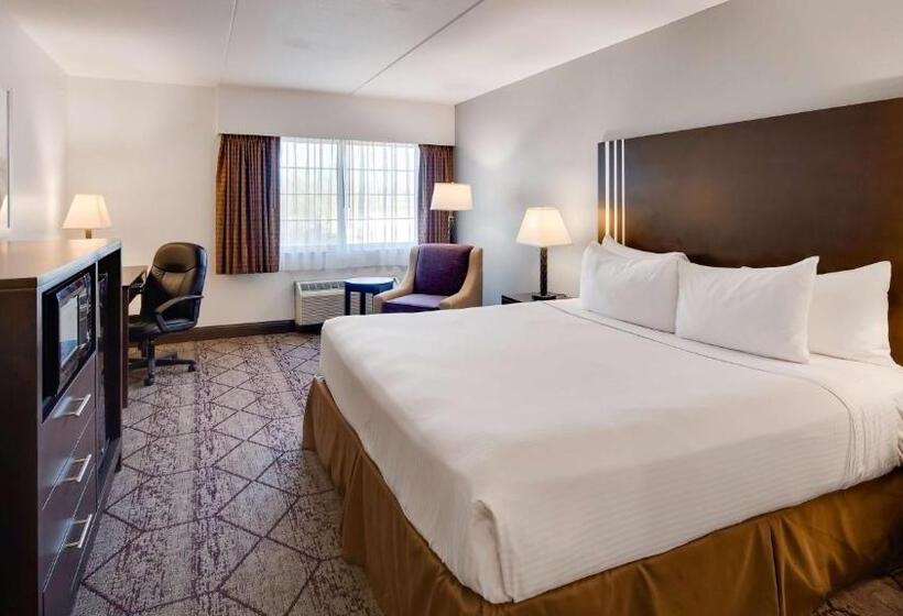 اتاق استاندارد با تخت بزرگ, Best Western Plus Longbranch Hotel & Convention Center