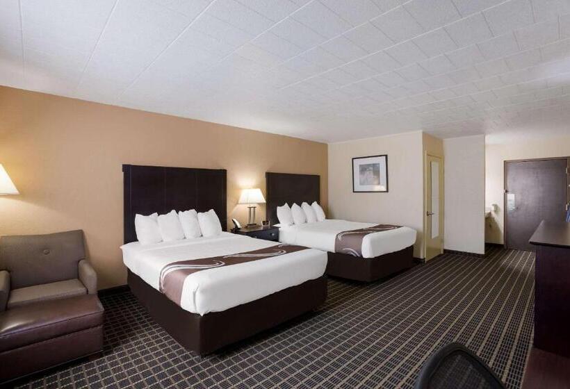장애인을 위한 퀸사이즈 스탠다드 룸, Quality Inn & Suites Big Rapids Near University