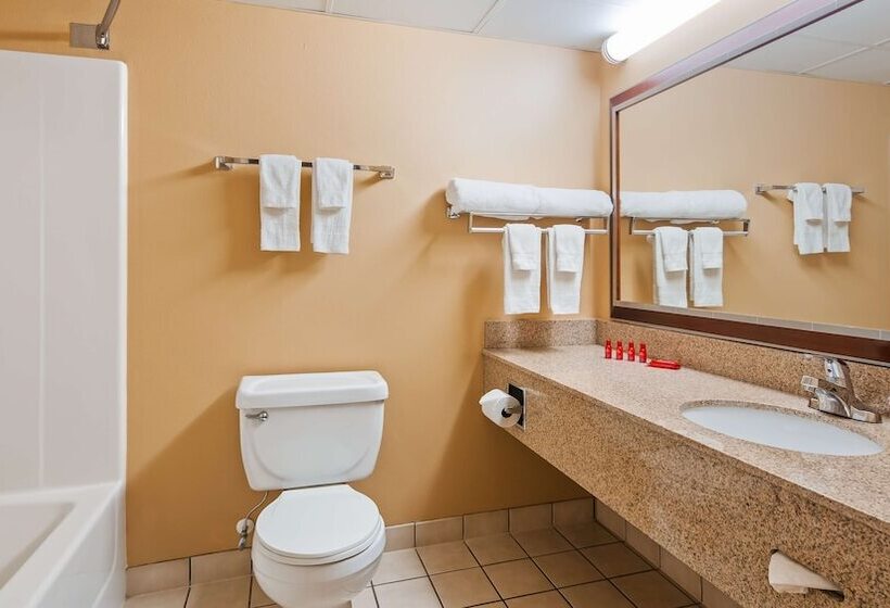 Номер Стандарт 2 Двуспальные Кровати, Surestay Plus Hotel By Best Western Black River Falls