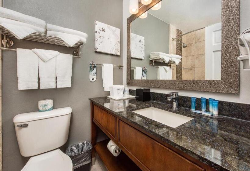 Номер Стандарт Адаптированный для Инвалидов, Best Western Plus Milwaukee West