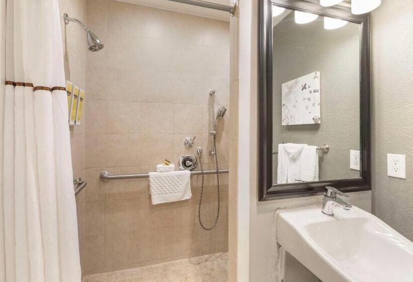 Номер Стандарт Адаптированный для Инвалидов, Best Western Plus Milwaukee West