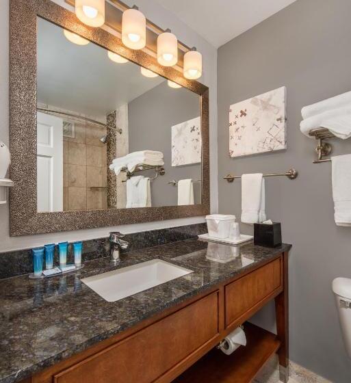 Номер Стандарт Кровать Кинг Адаптированный для Инвалидов, Best Western Plus Milwaukee West