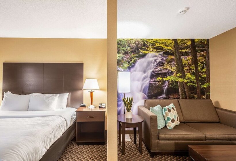 套房, Clarion Pointe Harrisonburg