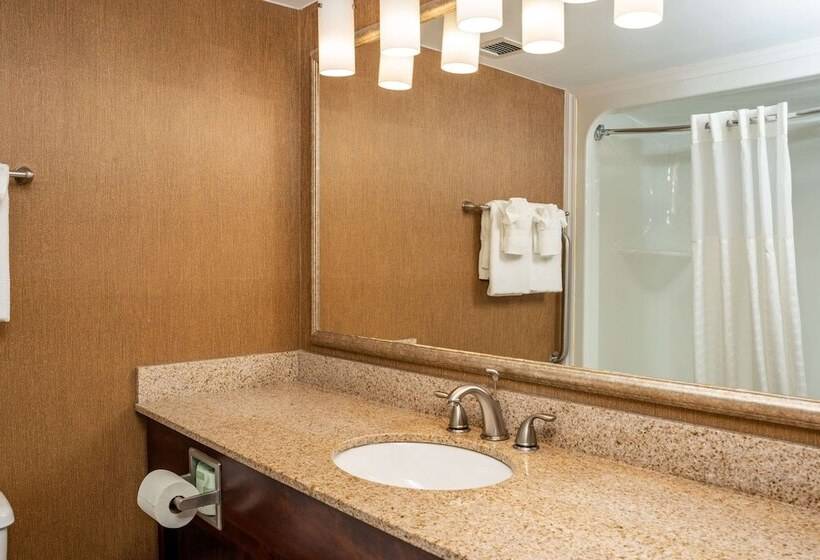 适合残疾人士使用的套间, Clarion Pointe Harrisonburg